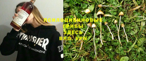 эйфоретик Алексеевка